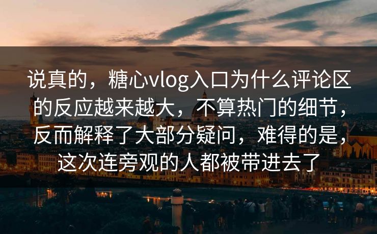 说真的，糖心vlog入口为什么评论区的反应越来越大，不算热门的细节，反而解释了大部分疑问，难得的是，这次连旁观的人都被带进去了