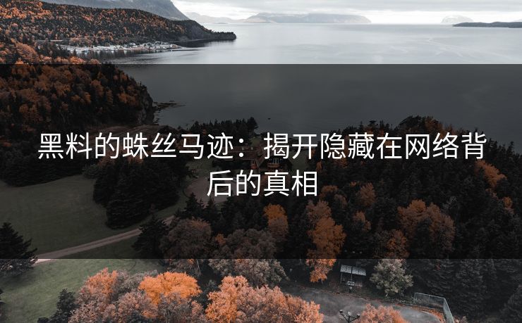 黑料的蛛丝马迹：揭开隐藏在网络背后的真相